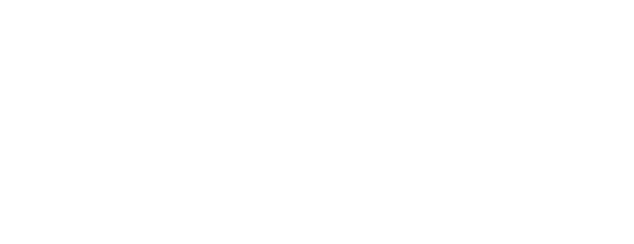 logo-4